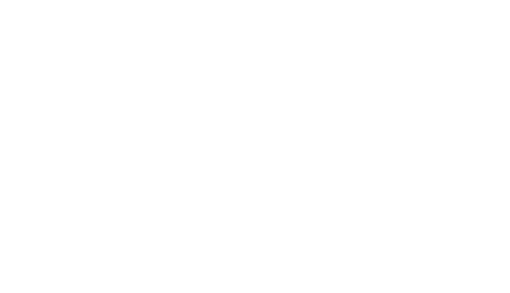 hoelawyers logo light